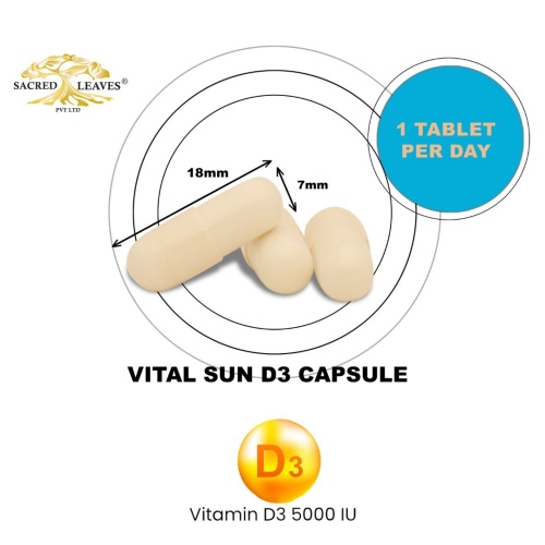 vital-sun-d3-capsule