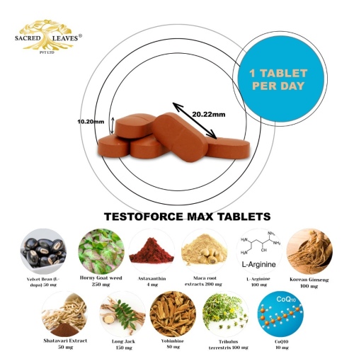 testoforce-max