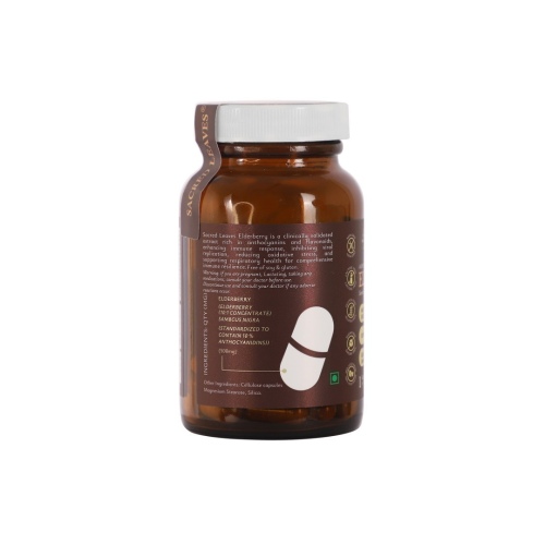 elderberry-back