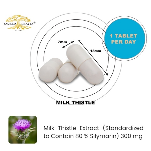 milk-thistle