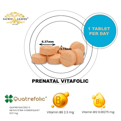 prenatal-vitafolic