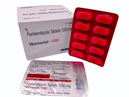wormental-10tab-fenbendazole-1000mg