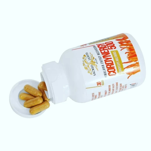 CORDYNERGY 2  30CAP (Cordyceps Militaris 500)